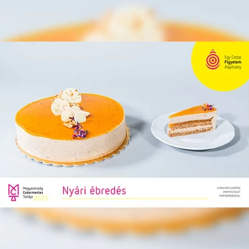 NYÁRI ÉBREDÉS GYERMEK TORTA 2025 81G HOZZÁADOTT GLUTÉN NÉLKÜL