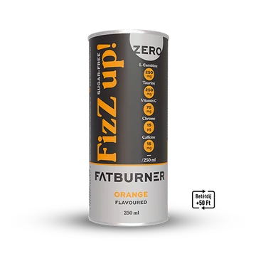 FIZZ UP! FATBURNER L-KARNITIN TAURIN-NARANCS ÍZŰ SZÉNSAVAS ITAL ÉDESÍTŐSZEREKKEL 250 ML UPDATE